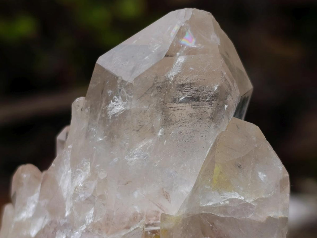 Natural Cascading Clear Champagne Citrine Quartz Crystals and Clusters x 12 From Luena, Congo - Toprock Gemstones and Minerals 