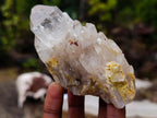 Natural Cascading Clear Champagne Citrine Quartz Crystals and Clusters x 12 From Luena, Congo - Toprock Gemstones and Minerals 
