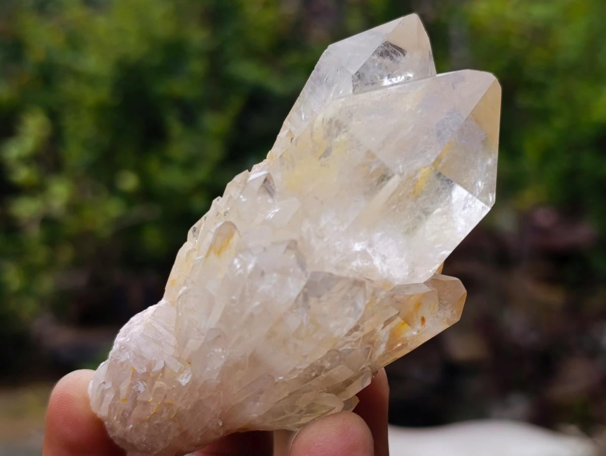 Natural Cascading Clear Champagne Citrine Quartz Crystals and Clusters x 12 From Luena, Congo - Toprock Gemstones and Minerals 