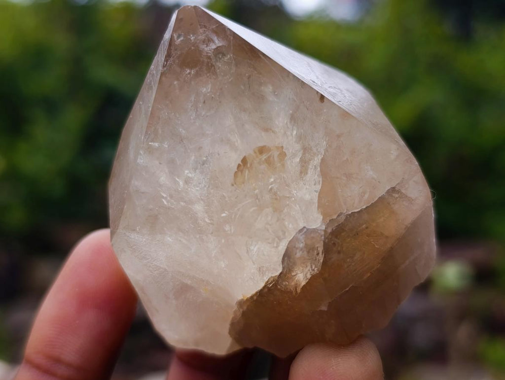Natural Cascading Clear Champagne Citrine Quartz Crystals and Clusters x 12 From Luena, Congo - Toprock Gemstones and Minerals 