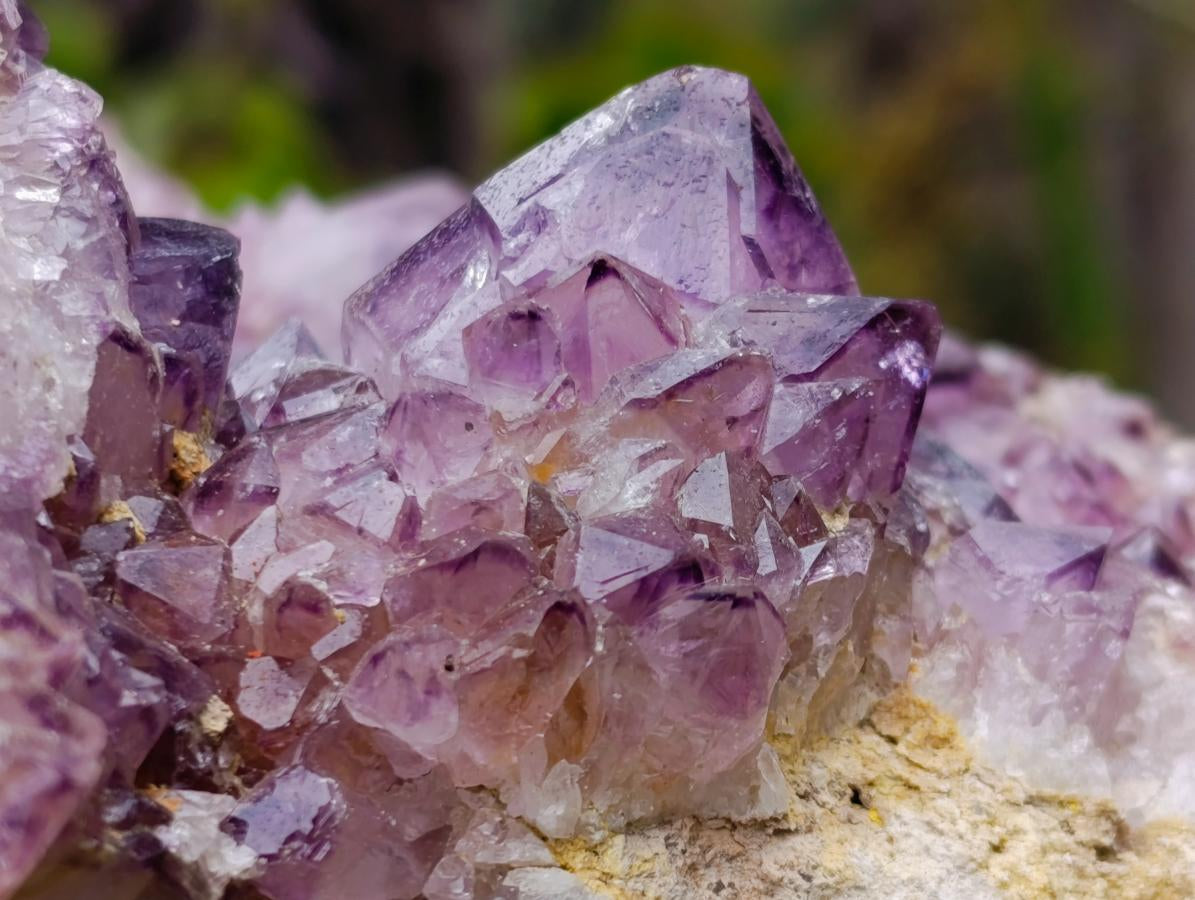 Natural XL Dark Spirit Amethyst Cluster x 1 From Boekenhouthoek, South Africa - Toprock Gemstones and Minerals 