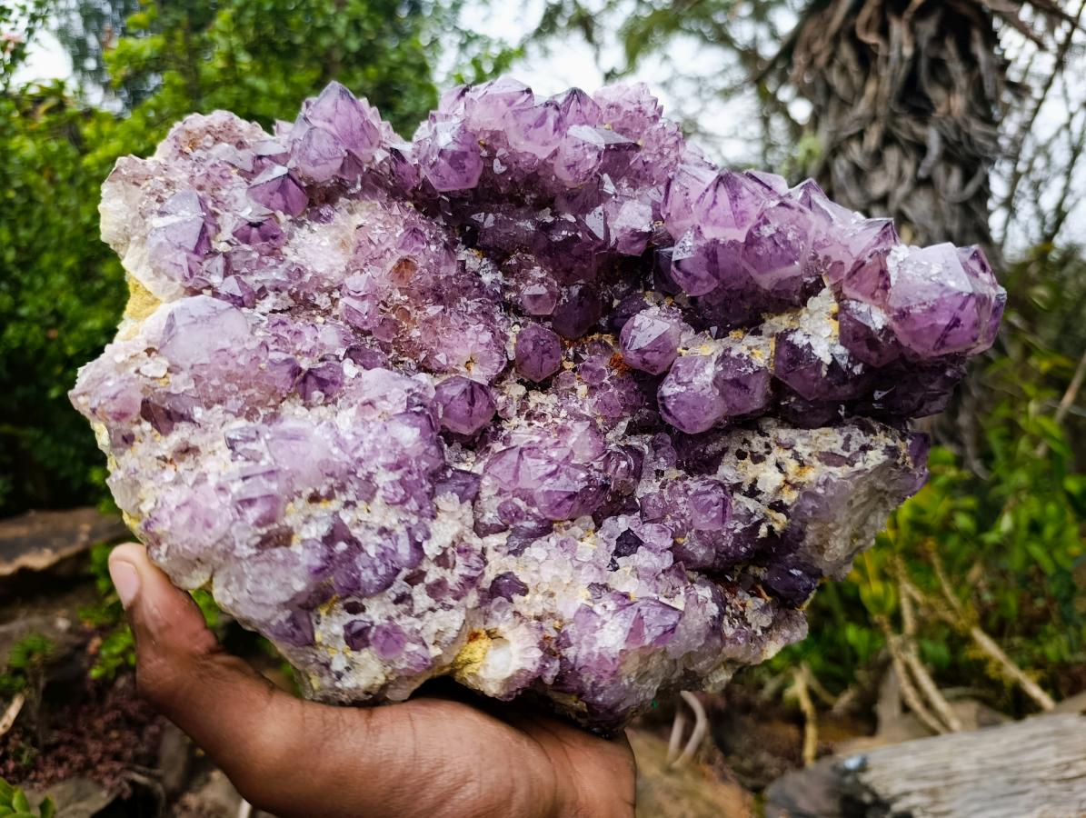 Natural XL Dark Spirit Amethyst Cluster x 1 From Boekenhouthoek, South Africa - Toprock Gemstones and Minerals 