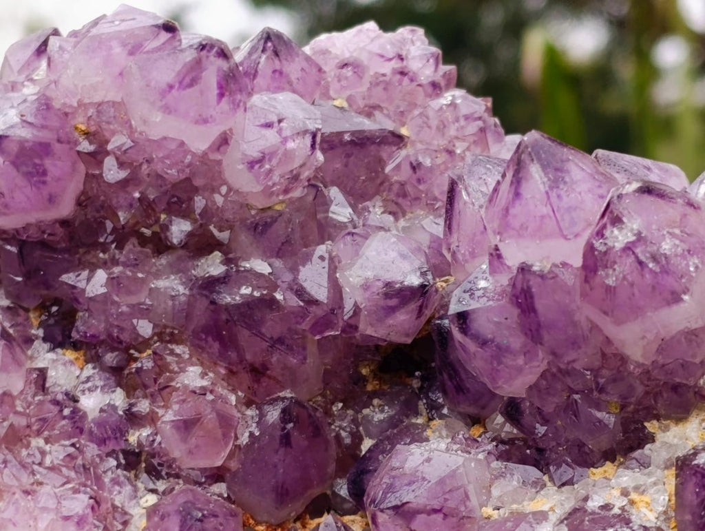Natural XL Dark Spirit Amethyst Cluster x 1 From Boekenhouthoek, South Africa - Toprock Gemstones and Minerals 