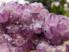 Natural XL Dark Spirit Amethyst Cluster x 1 From Boekenhouthoek, South Africa - Toprock Gemstones and Minerals 