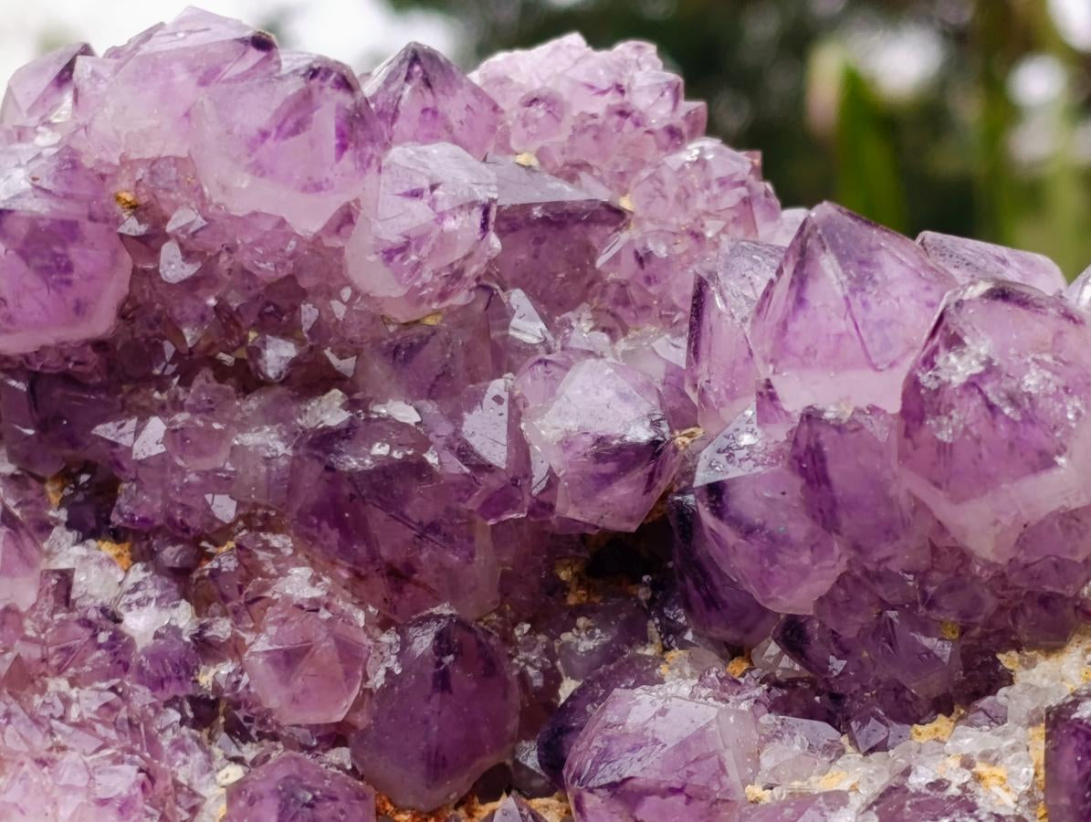 Natural XL Dark Spirit Amethyst Cluster x 1 From Boekenhouthoek, South Africa - Toprock Gemstones and Minerals 