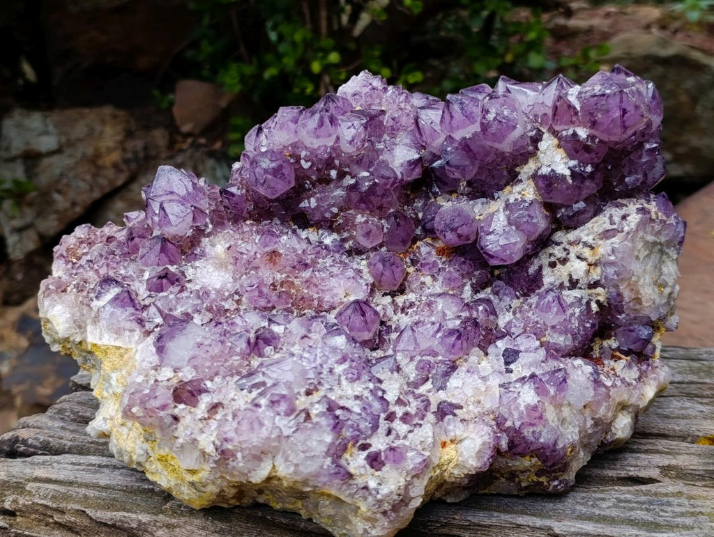 Natural XL Dark Spirit Amethyst Cluster x 1 From Boekenhouthoek, South Africa - Toprock Gemstones and Minerals 