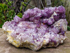 Natural XL Dark Spirit Amethyst Cluster x 1 From Boekenhouthoek, South Africa - Toprock Gemstones and Minerals 