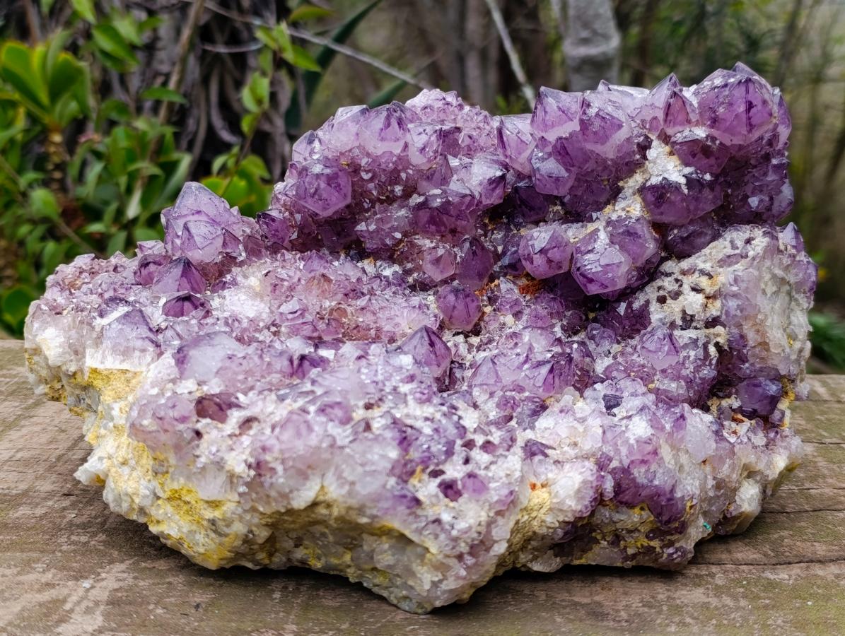 Natural XL Dark Spirit Amethyst Cluster x 1 From Boekenhouthoek, South Africa - Toprock Gemstones and Minerals 