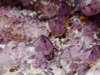 Natural XL Dark Spirit Amethyst Cluster x 1 From Boekenhouthoek, South Africa - Toprock Gemstones and Minerals 