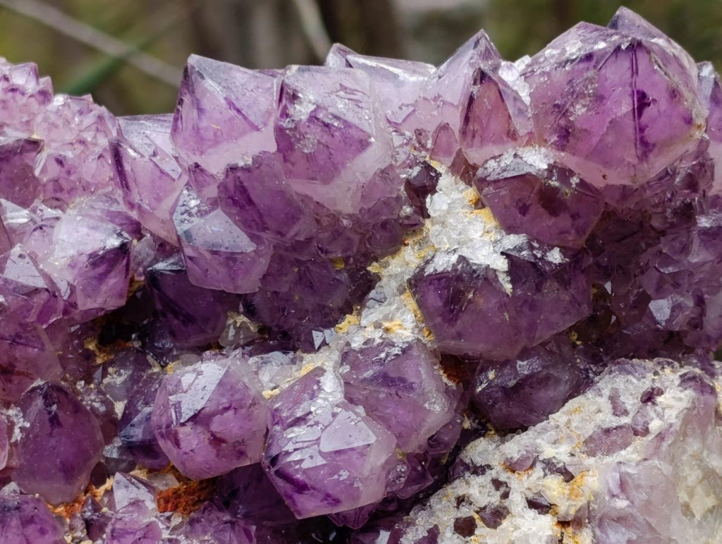 Natural XL Dark Spirit Amethyst Cluster x 1 From Boekenhouthoek, South Africa - Toprock Gemstones and Minerals 
