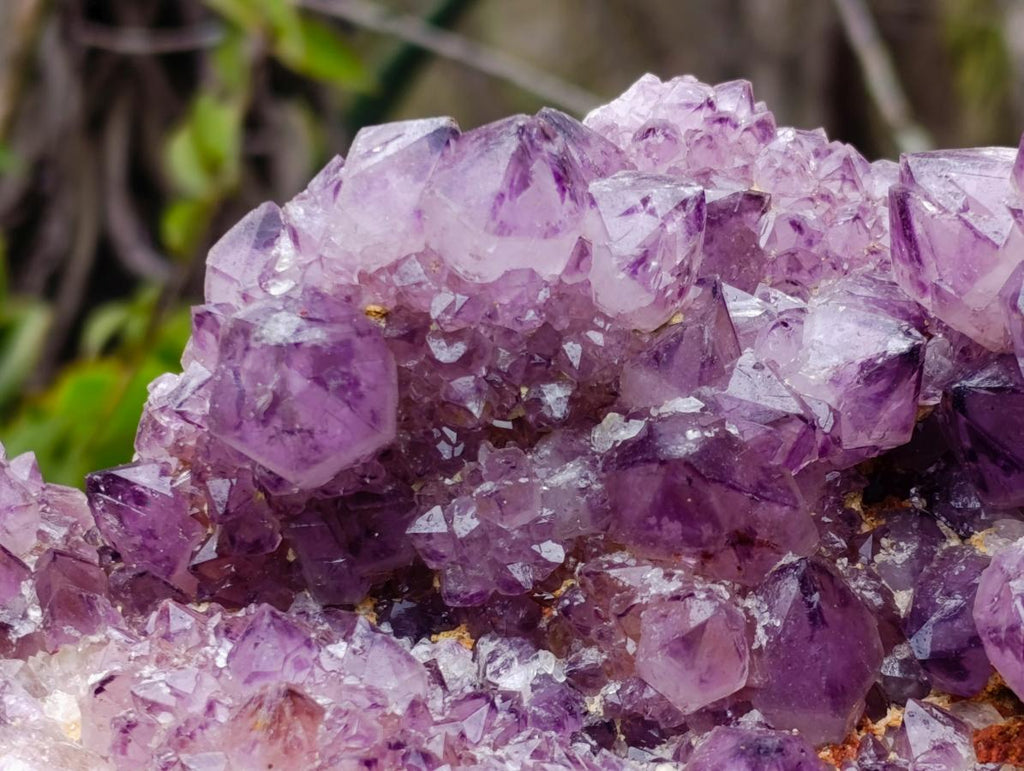 Natural XL Dark Spirit Amethyst Cluster x 1 From Boekenhouthoek, South Africa - Toprock Gemstones and Minerals 