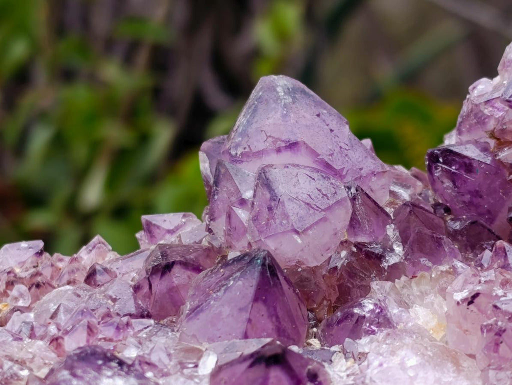 Natural XL Dark Spirit Amethyst Cluster x 1 From Boekenhouthoek, South Africa - Toprock Gemstones and Minerals 