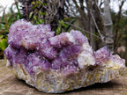 Natural XL Dark Spirit Amethyst Cluster x 1 From Boekenhouthoek, South Africa - Toprock Gemstones and Minerals 