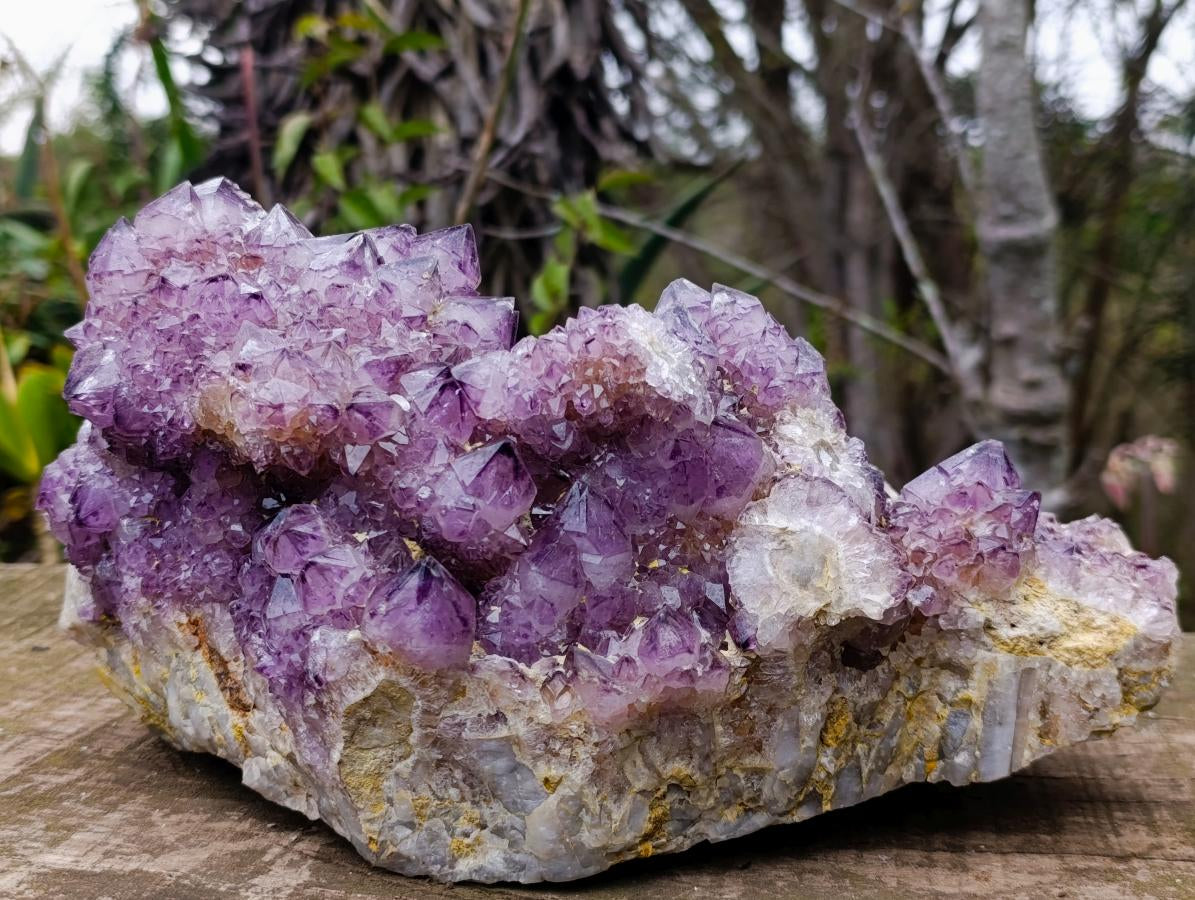 Natural XL Dark Spirit Amethyst Cluster x 1 From Boekenhouthoek, South Africa - Toprock Gemstones and Minerals 