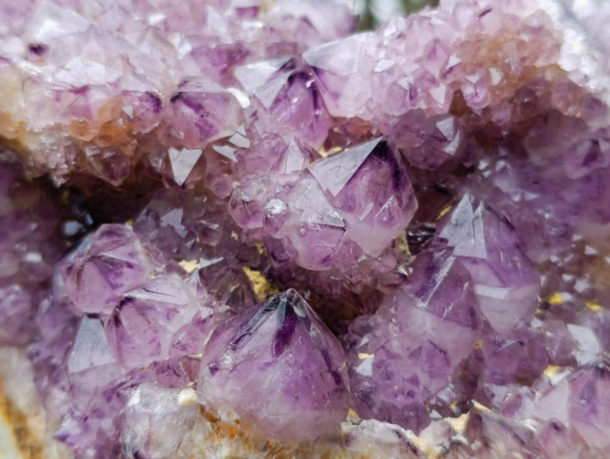 Natural XL Dark Spirit Amethyst Cluster x 1 From Boekenhouthoek, South Africa - Toprock Gemstones and Minerals 
