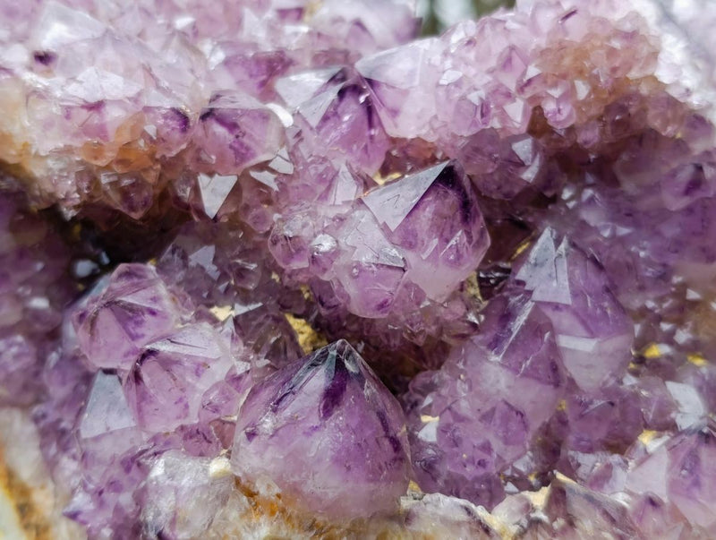 Natural XL Dark Spirit Amethyst Cluster x 1 From Boekenhouthoek, South Africa - Toprock Gemstones and Minerals 