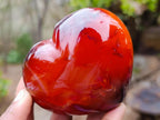 Polished Carnelian Agate Gemstone Hearts x 13 From Madagascar - Toprock Gemstones and Minerals 