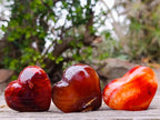Polished Carnelian Agate Gemstone Hearts x 13 From Madagascar - Toprock Gemstones and Minerals 