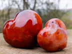Polished Carnelian Agate Gemstone Hearts x 13 From Madagascar - Toprock Gemstones and Minerals 