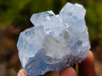 Natural Blue Celestite Specimens x 38 From Sakoany, Madagascar - Toprock Gemstones and Minerals 