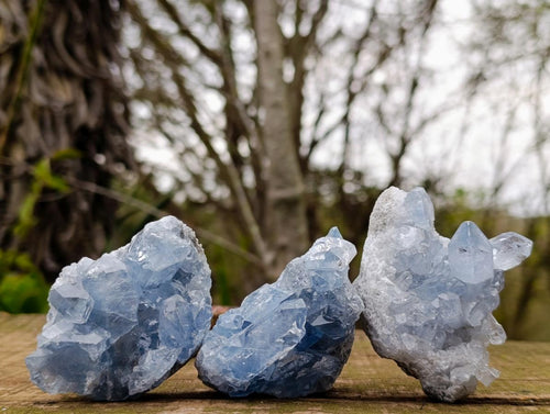 Natural Blue Celestite Specimens x 38 From Sakoany, Madagascar - Toprock Gemstones and Minerals 