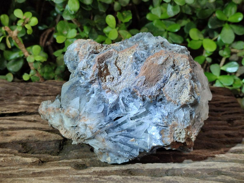 Natural Large Rare Bladed Barite Specimen x 1 From Shangulowé Mine, Congo - Toprock Gemstones and Minerals 