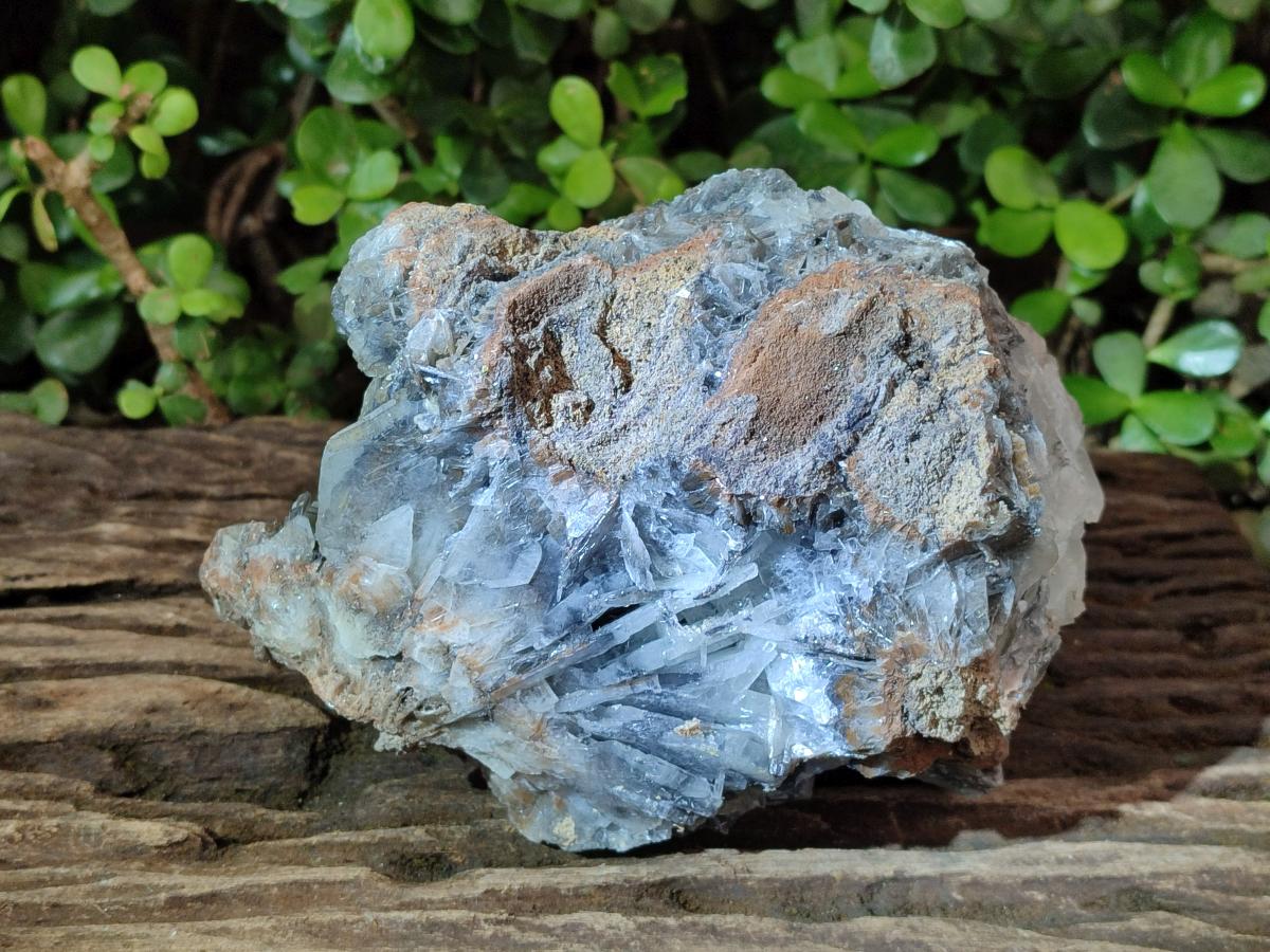 Natural Large Rare Bladed Barite Specimen x 1 From Shangulowé Mine, Congo - Toprock Gemstones and Minerals 