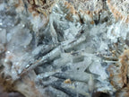 Natural Large Rare Bladed Barite Specimen x 1 From Shangulowé Mine, Congo - Toprock Gemstones and Minerals 