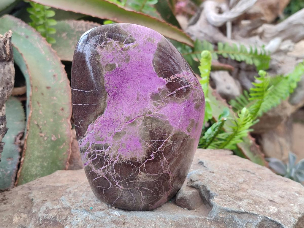Polished Stichtite Standing Display Pieces x 2 From Barberton, South Africa - Toprock Gemstones and Minerals 