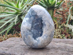 Polished and Natural Large Blue Celestite Egg x 1 From Sakoany, Madagascar - Toprock Gemstones and Minerals 