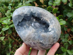 Polished and Natural Large Blue Celestite Egg x 1 From Sakoany, Madagascar - Toprock Gemstones and Minerals 