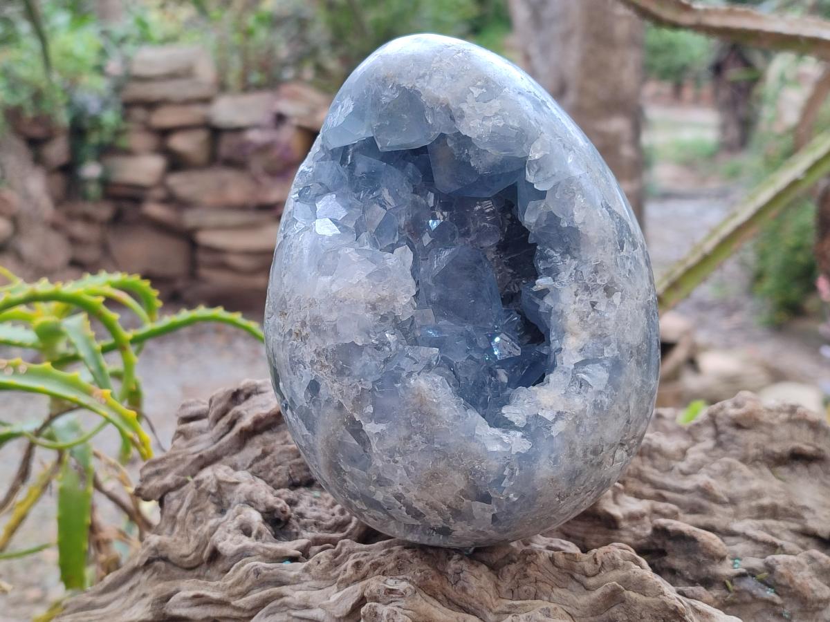 Polished and Natural Large Blue Celestite Egg x 1 From Sakoany, Madagascar - Toprock Gemstones and Minerals 