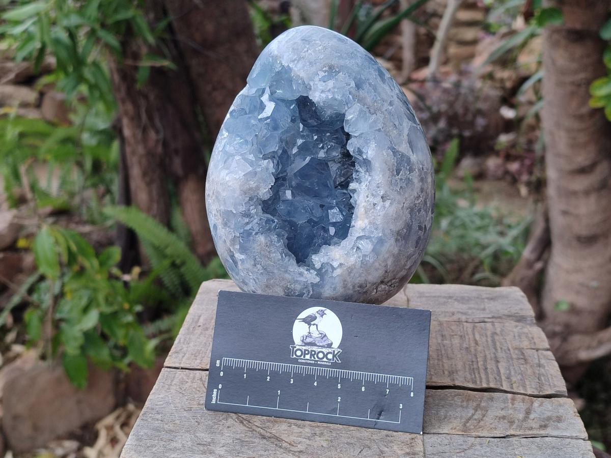 Polished and Natural Large Blue Celestite Egg x 1 From Sakoany, Madagascar - Toprock Gemstones and Minerals 