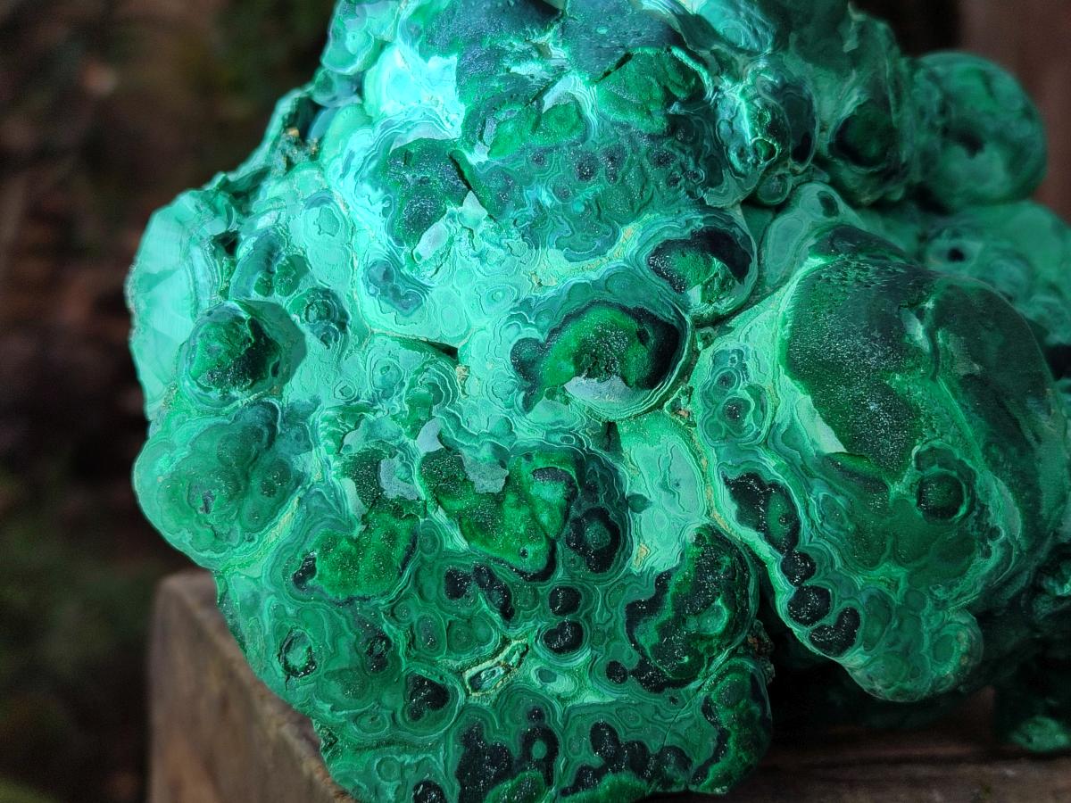 Natural Botryoidal Malachite Specimens x 2 From Congo - Toprock Gemstones and Minerals 