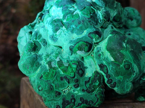 Natural Botryoidal Malachite Specimens x 2 From Congo - Toprock Gemstones and Minerals 