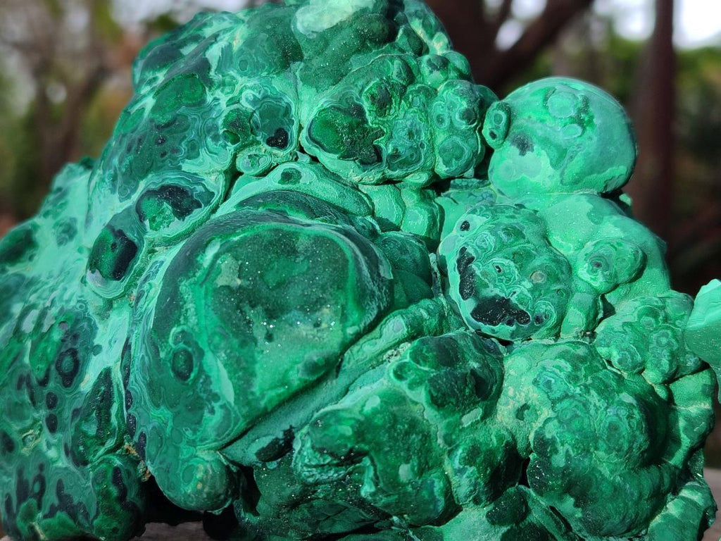 Natural Botryoidal Malachite Specimens x 2 From Congo - Toprock Gemstones and Minerals 
