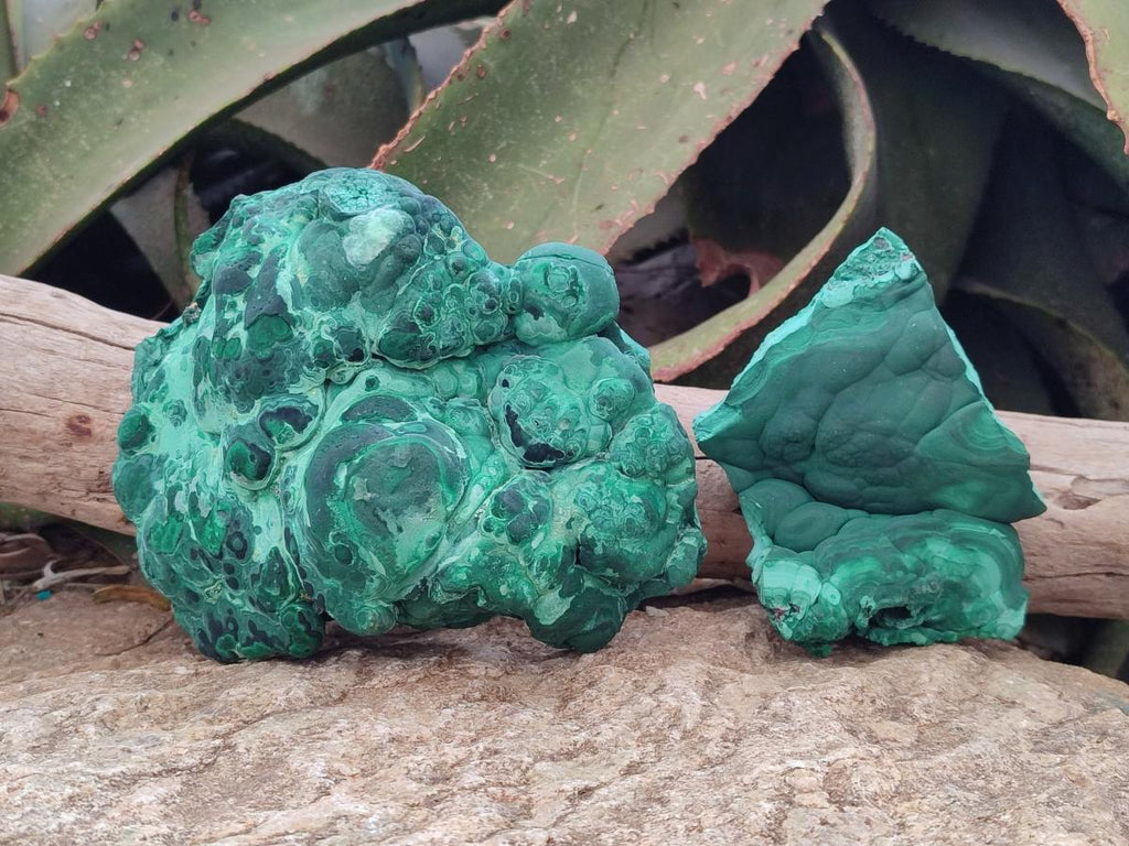 Natural Botryoidal Malachite Specimens x 2 From Congo - Toprock Gemstones and Minerals 