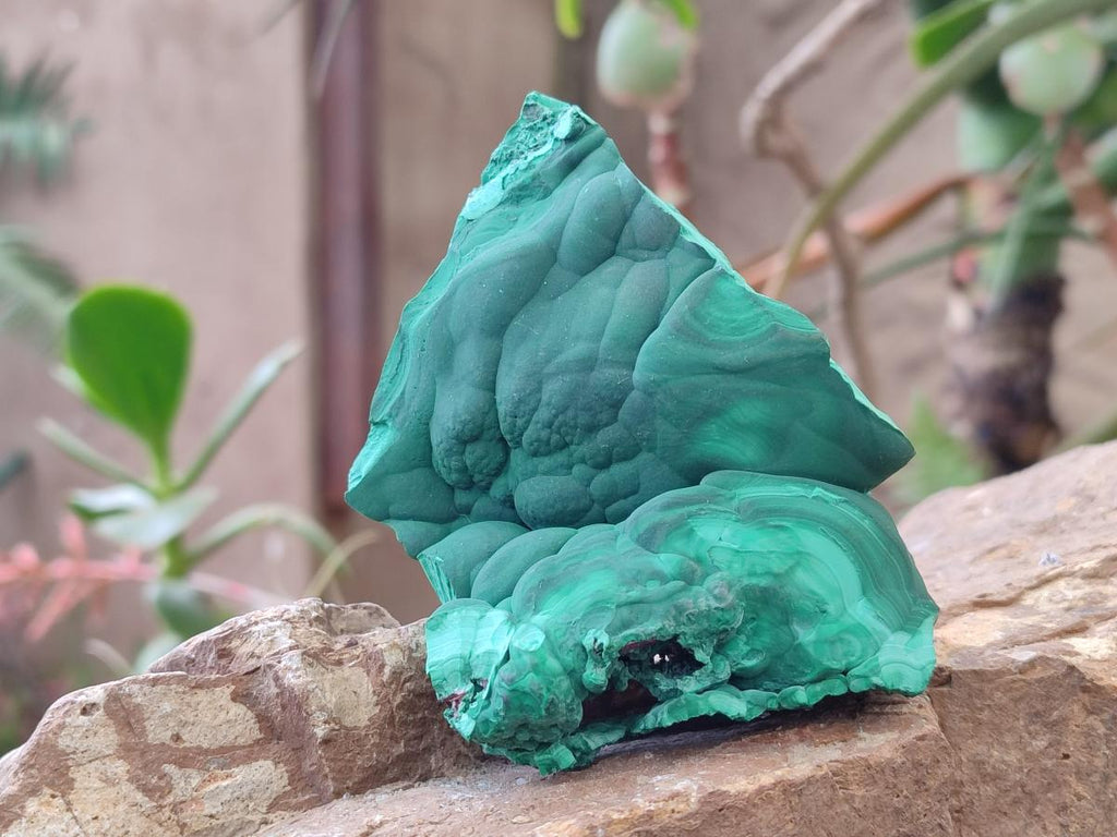 Natural Botryoidal Malachite Specimens x 2 From Congo - Toprock Gemstones and Minerals 