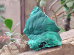 Natural Botryoidal Malachite Specimens x 2 From Congo - Toprock Gemstones and Minerals 