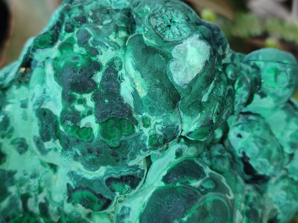 Natural Botryoidal Malachite Specimens x 2 From Congo - Toprock Gemstones and Minerals 