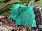 Natural Botryoidal Malachite Specimens x 2 From Congo - Toprock Gemstones and Minerals 
