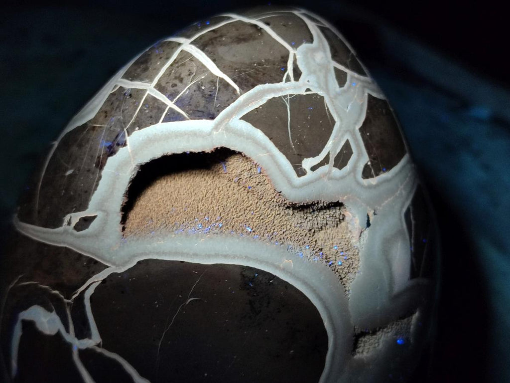 Polished and Natural Large Septerye Sauvage "Dragons Egg" Geode x 1 From Mahajanga, Madagascar - Toprock Gemstones and Minerals 