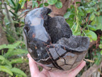 Polished and Natural Large Septerye Sauvage "Dragons Egg" Geode x 1 From Mahajanga, Madagascar - Toprock Gemstones and Minerals 