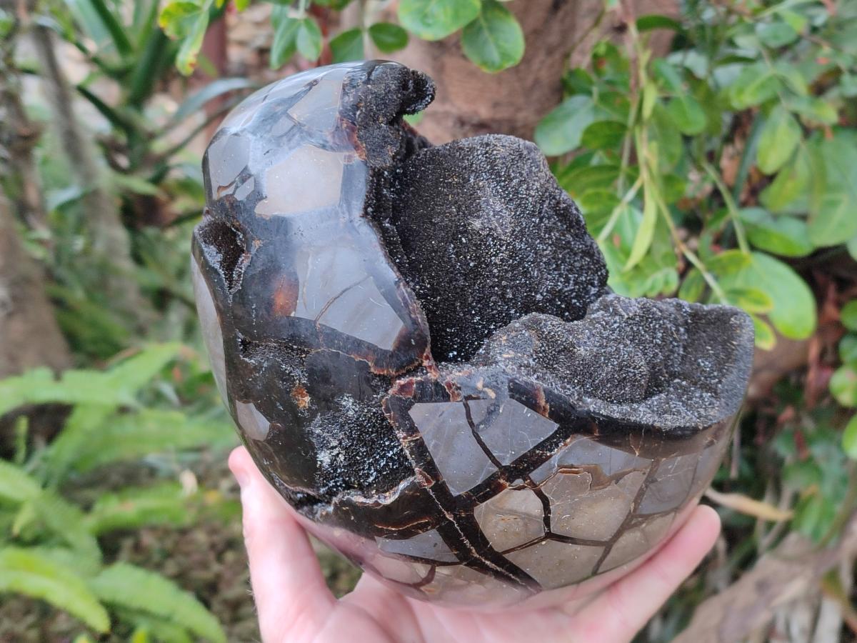 Polished and Natural Large Septerye Sauvage "Dragons Egg" Geode x 1 From Mahajanga, Madagascar - Toprock Gemstones and Minerals 