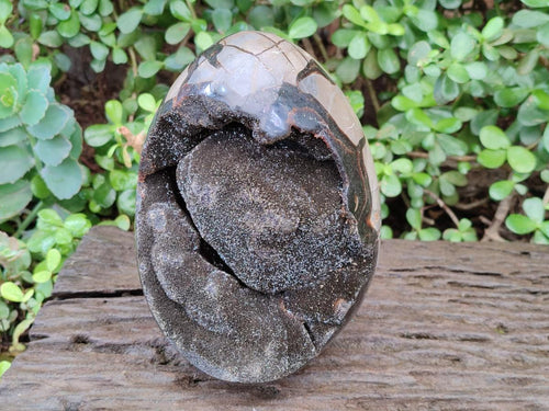 Polished and Natural Large Septerye Sauvage "Dragons Egg" Geode x 1 From Mahajanga, Madagascar - Toprock Gemstones and Minerals 