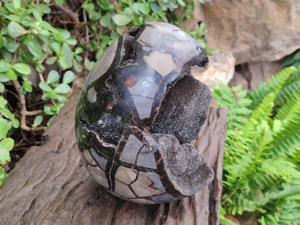 Polished and Natural Large Septerye Sauvage "Dragons Egg" Geode x 1 From Mahajanga, Madagascar - Toprock Gemstones and Minerals 