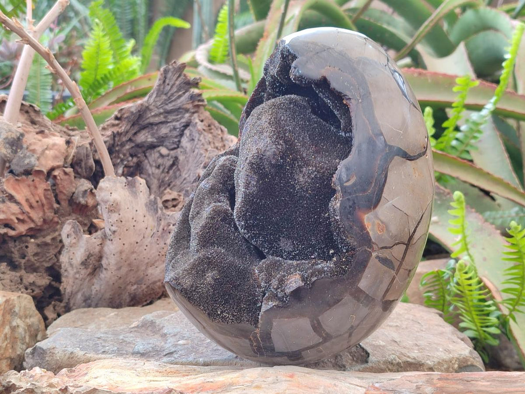 Polished and Natural Large Septerye Sauvage "Dragons Egg" Geode x 1 From Mahajanga, Madagascar - Toprock Gemstones and Minerals 