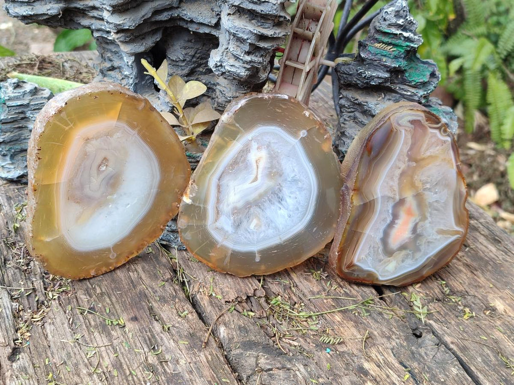 Polished and Natural Large Banded Agate Slices with Natural Edging x 6 From Madagascar - Toprock Gemstones and Minerals 