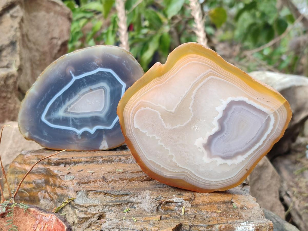 Polished and Natural Large Banded Agate Slices with Natural Edging x 6 From Madagascar - Toprock Gemstones and Minerals 