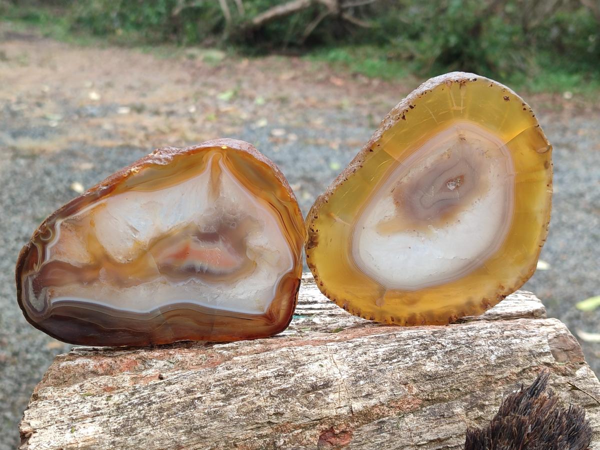 Polished and Natural Large Banded Agate Slices with Natural Edging x 6 From Madagascar - Toprock Gemstones and Minerals 